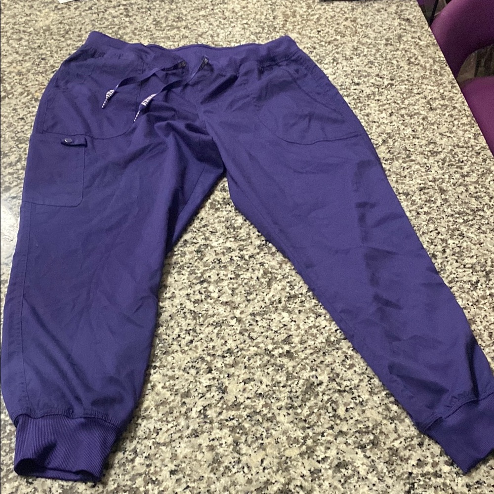 Scrubs pants higher Purple Jogger Pants